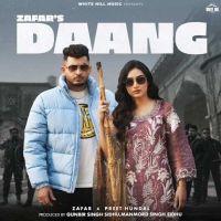 Daang Zafar MP3 Song, Daang Album