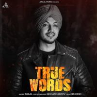 True Words Akaal MP3 Song, True Words Album