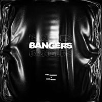 Download Bangers Davi Singh full mp3 album