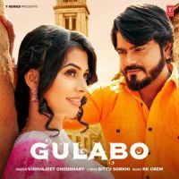 Gulabo Vishvajeet Choudhary MP3 Song, Gulabo Album