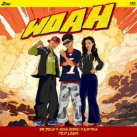 Woah Ashu Sidhu MP3 Song, Woah Album