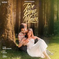 Tere Bina Main Inder Chahal MP3 Song, Tere Bina Main Album