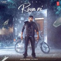 Roya Ni Baaghi MP3 Song, Roya Ni Album