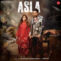 Asla Baaz Sran MP3 Song, Asla Album