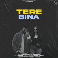 Tere Bina Garry Sandhu MP3 Song, Tere Bina Album