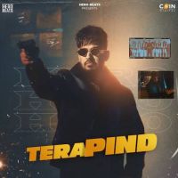Tera Pind Hheero MP3 Song, Tera Pind Album