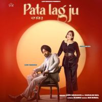 Pata Lag Ju Gopi Waraich MP3 Song, Pata Lag Ju Album