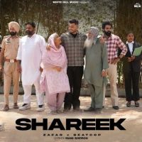 Shareek Zafar MP3 Song, Shareek Album