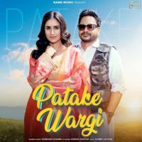 Patake Wargi Gurmukh Doabia MP3 Song, Patake Wargi Album