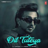 Dil Tuteya Tippu Sultan MP3 Song, Dil Tuteya Album