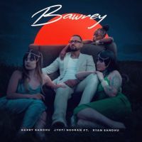 Bawrey Garry Sandhu MP3 Song, Bawrey Album