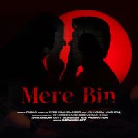 Mere Bin Faizu Ghafari MP3 Song, Mere Bin Album