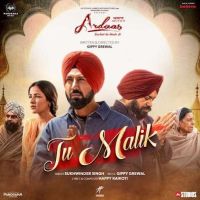 Tu Malik Sukhwinder Singh MP3 Song, Tu Malik Album