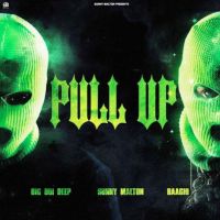 Pull Up Sunny Malton, Big Boi Deep MP3 Song, Pull Up Album