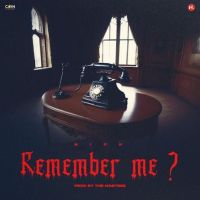 Remember Me Nikk MP3 Song, Remember Me Album