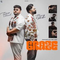 Craze Prince Bhullar MP3 Song, Craze Album