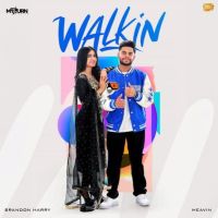 Walkin Brandon Harry MP3 Song, Walkin Album