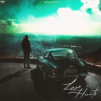 Love Hurts Prem Dhillon MP3 Song, Love Hurts Album