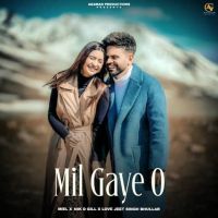 Mil Gaye O Miel MP3 Song, Mil Gaye O Album