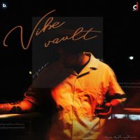 Kinda Sad Vseer MP3 Song, Vibe Vault Album