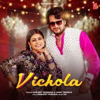 Vichola Harjeet Deewana, Ashu Twinkle MP3 Song, Vichola Album
