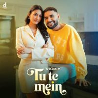 Tu Te Mein Vicky MP3 Song, Tu Te Mein Album