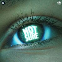 Download Not Sure Cheema Y mp3 song, Not Sure lyrics