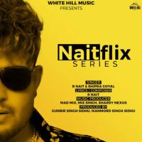 Kuwari R. Nait MP3 Song, Naitflix Series Album