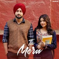 Tu Mera Vicky Sandhu MP3 Song, Tu Mera Album