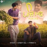 Download Punjab Shivjot, Gurjeet Gill mp3 song, Punjab lyrics