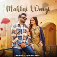 Makhni Wargi Masha Ali MP3 Song, Makhni Wargi Album
