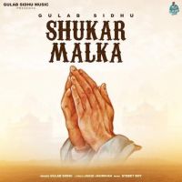Shukar Malka Gulab Sidhu MP3 Song, Shukar Malka Album