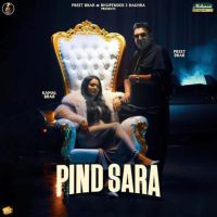 Pind Sara Preet Brar MP3 Song, Pind Sara Album