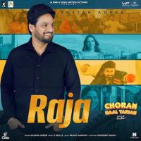 Raja Sajjan Adeeb MP3 Song, Raja Album