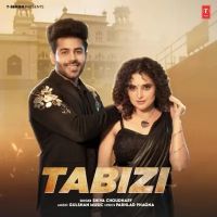 Tabizi Shiva Choudhary MP3 Song, Tabizi Album