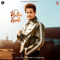 Puthi Ginti R. Nait MP3 Song, Puthi Ginti Album