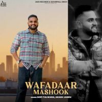 Wafadaar Mashook Gopi Talwara MP3 Song, Wafadaar Mashook Album
