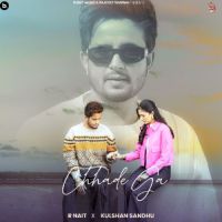 Chhade Ga R. Nait MP3 Song, Chhade Ga Album