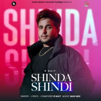 Shinda Shindi R. Nait MP3 Song, Shinda Shindi Album
