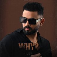 Why Kaptaan MP3 Song, Why Album