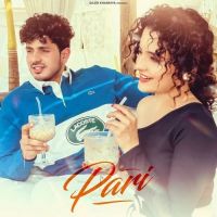 Pari Diler Kharkiya, Shiva Choudhary MP3 Song, Pari Album