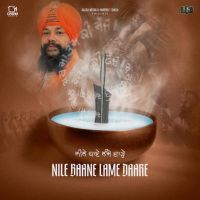 Nile Baane Lame Daare Manjit Singh Sohi MP3 Song, Nile Baane Lame Daare Album