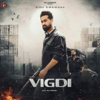 Vigdi Gill Gogoani MP3 Song, Vigdi Album
