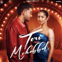 Teri Mohabbat Musahib MP3 Song, Teri Mohabbat Album