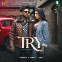 Try Arav Sidhu MP3 Song, Try Album