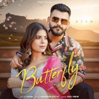 Butterfly Azam MP3 Song, Butterfly Album