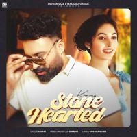 Stone Hearted Karma MP3 Song, Stone Hearted Album