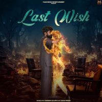 Last Wish Gustakh Aulakh MP3 Song, Last Wish Album