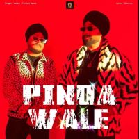 Pinda Wale Turban Beats MP3 Song, Pinda Wale Album