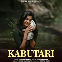 Kabutari Sandeep Chandel MP3 Song, Kabutari Album